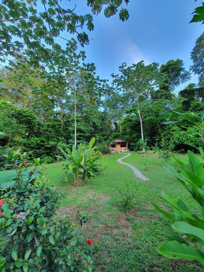 The Sunset Tucano Lodge Drake Bay Bagian luar foto