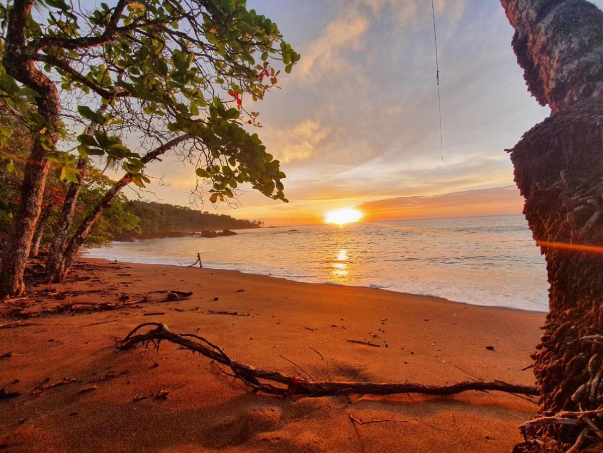 The Sunset Tucano Lodge Drake Bay Bagian luar foto