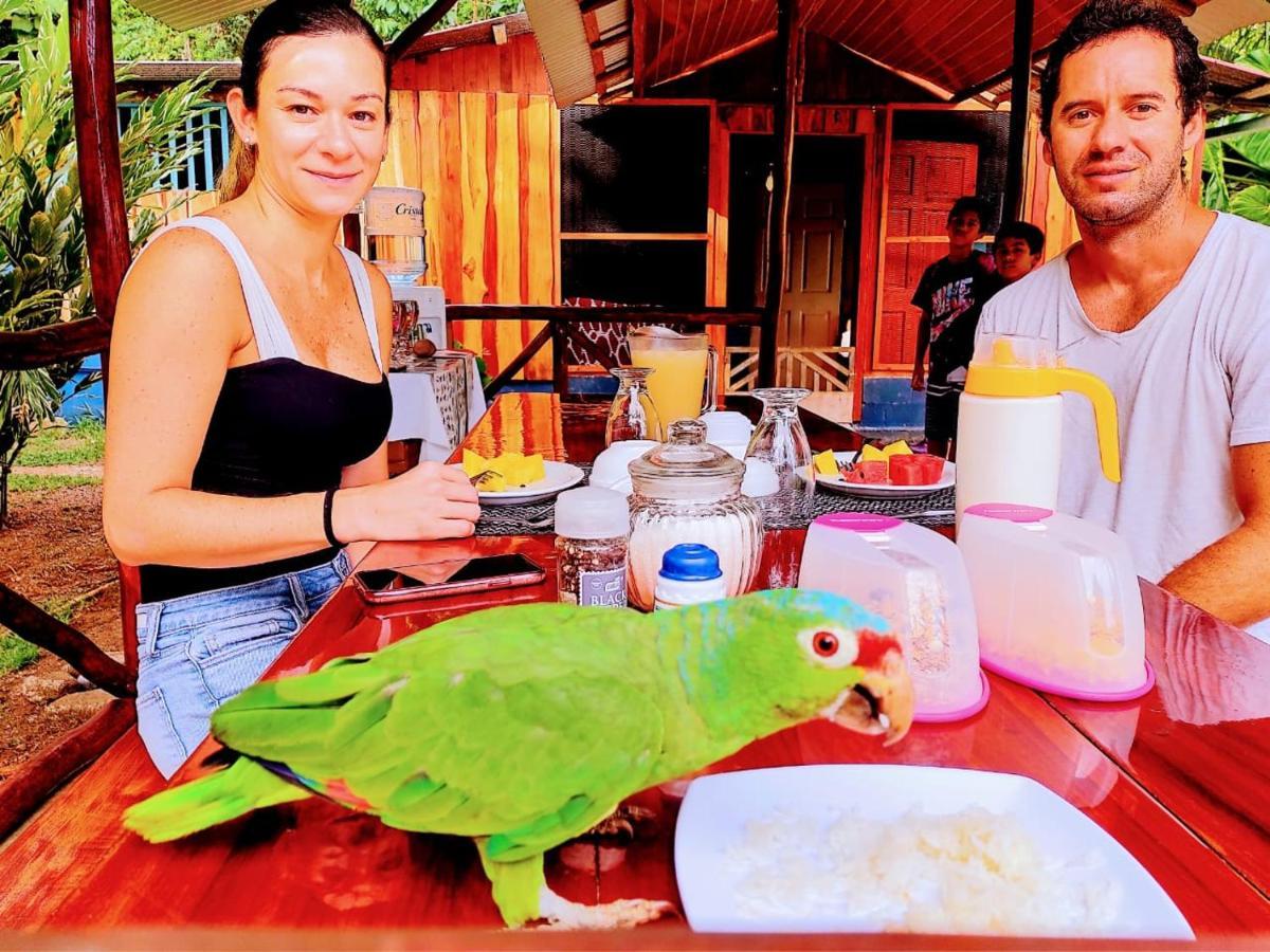 The Sunset Tucano Lodge Drake Bay Bagian luar foto