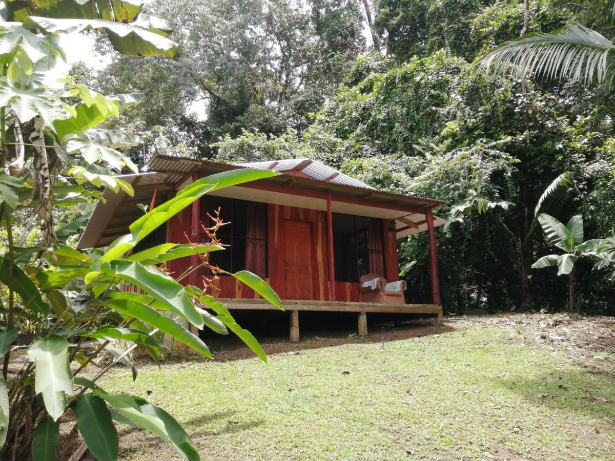 The Sunset Tucano Lodge Drake Bay Bagian luar foto