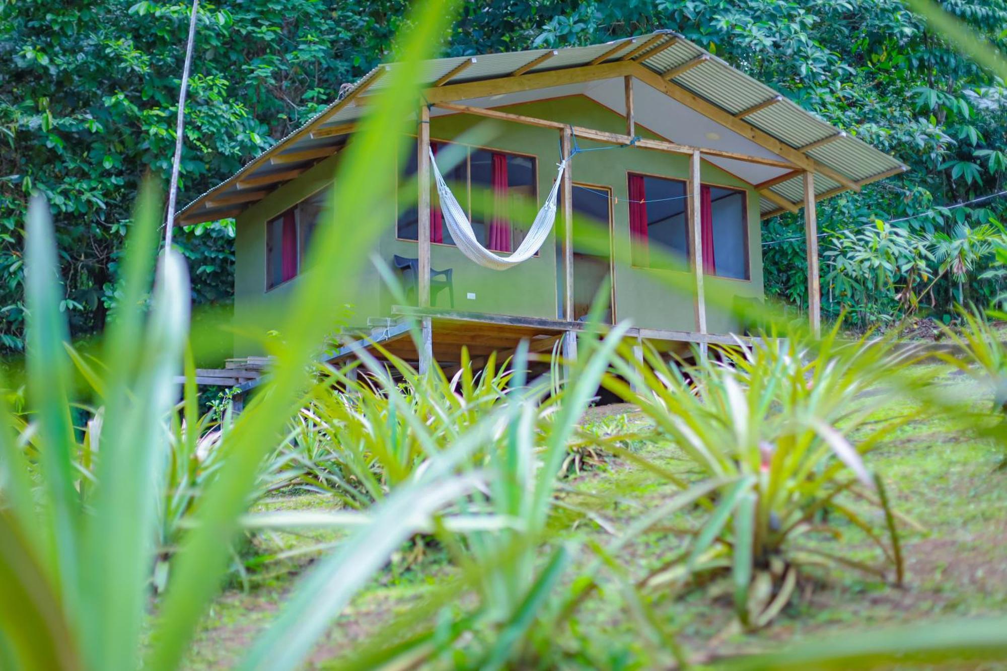 The Sunset Tucano Lodge Drake Bay Bagian luar foto