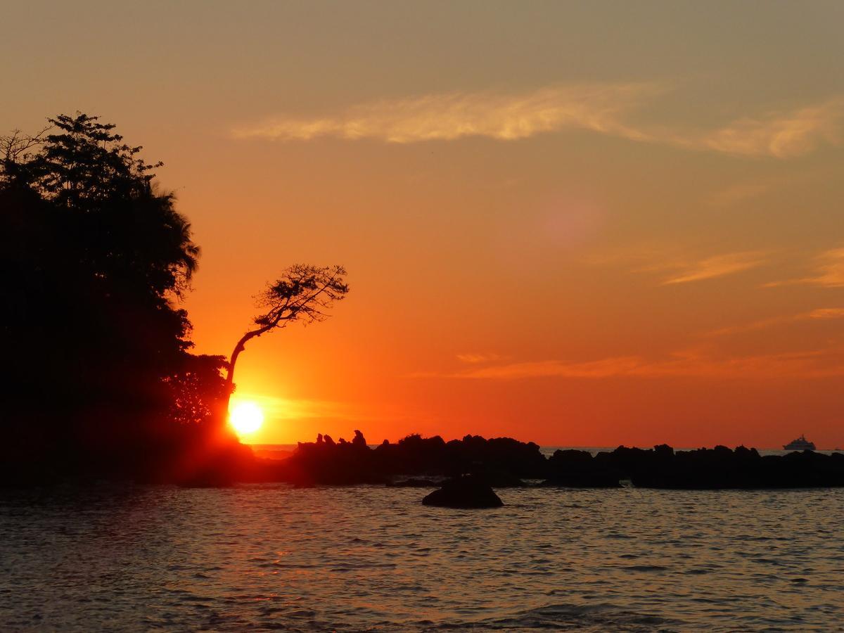 The Sunset Tucano Lodge Drake Bay Bagian luar foto