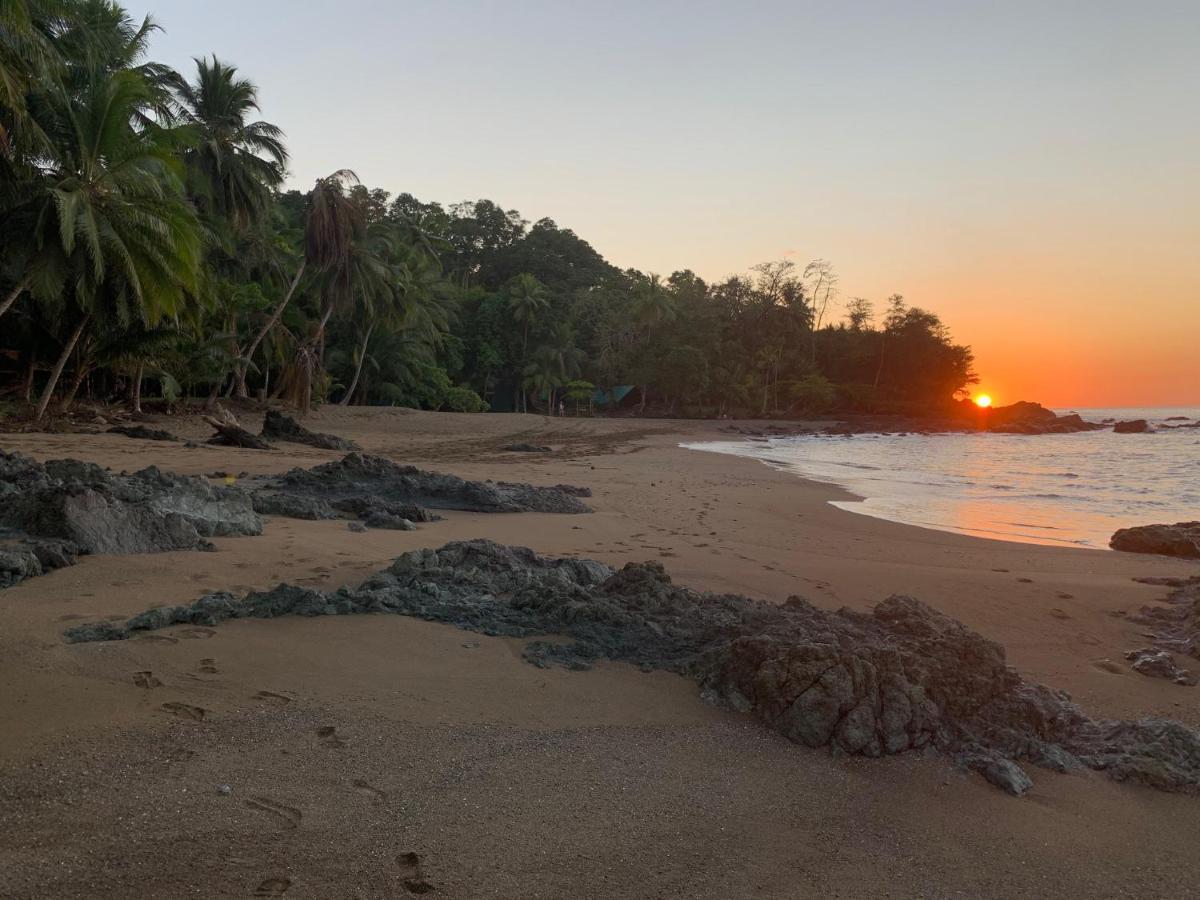 The Sunset Tucano Lodge Drake Bay Bagian luar foto